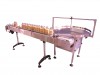 C-Frame Power Conveyors